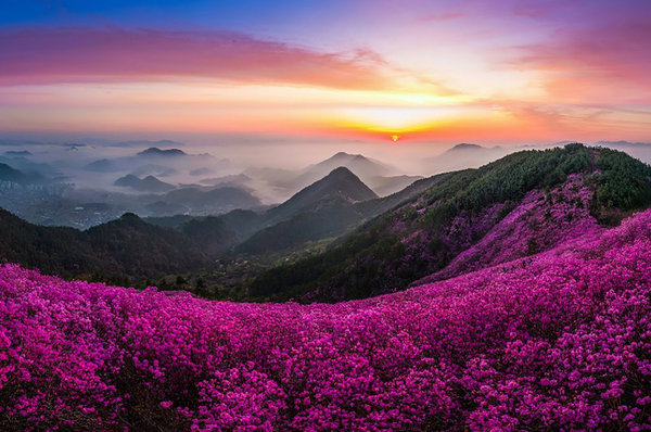 진달래 향기 가득한, 창원 천주산으로 놀러오세요 < 청춘, 여행을 담다 < 기사본문 - 로컬 크리에이터가 만드는 스마트관광 뉴스! 스마트관광신문