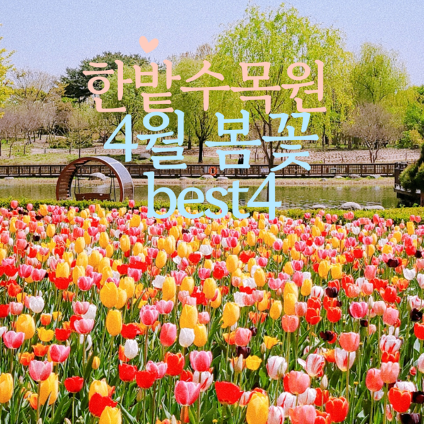 [대전]화사하게 만개한 한밭수목원 4월 봄꽃 BEST 4