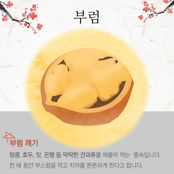 2024년 풍요로운 정월대보름 음식