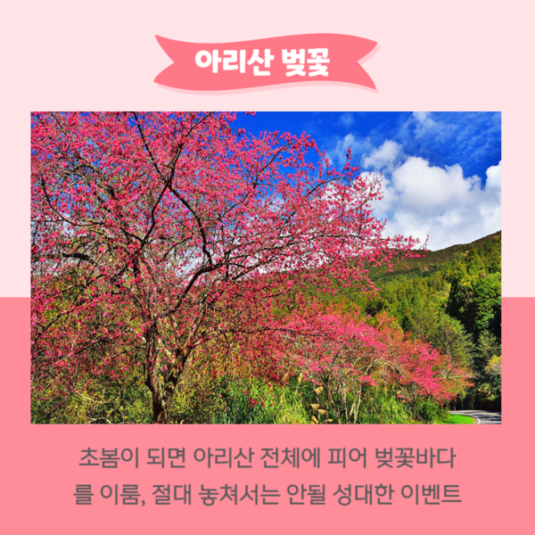 ©아리산 국가 풍경구 관리처​